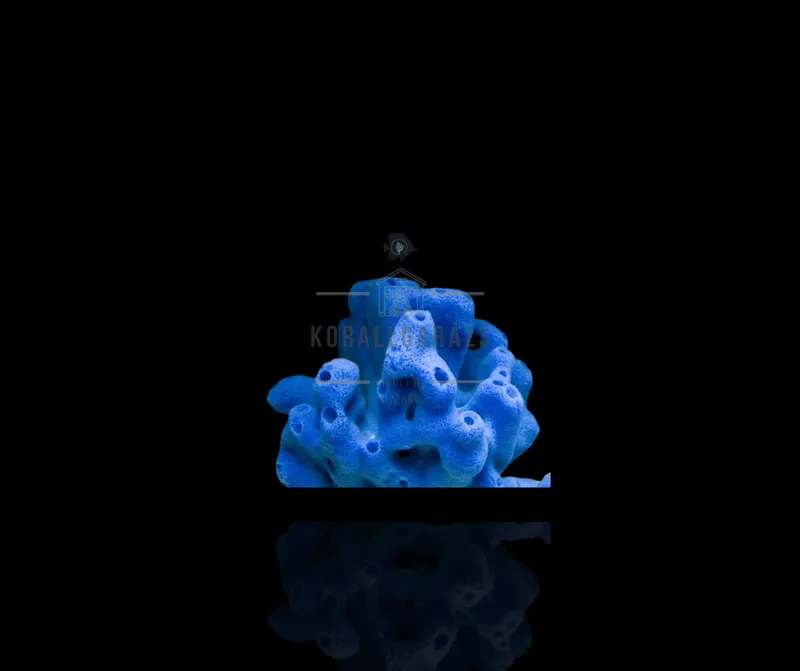 Haliclona blue (tubular)